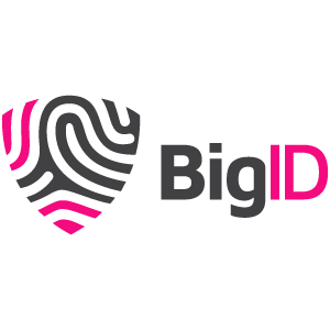 High_Resolution_Logo-Logo_BigID_Gray-Pink_Horizontal_ (2).png